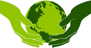 GREENCARCAREPRODUCTS.COM