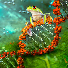 GreenZOOLOGY.COM