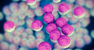 AntiBac.com